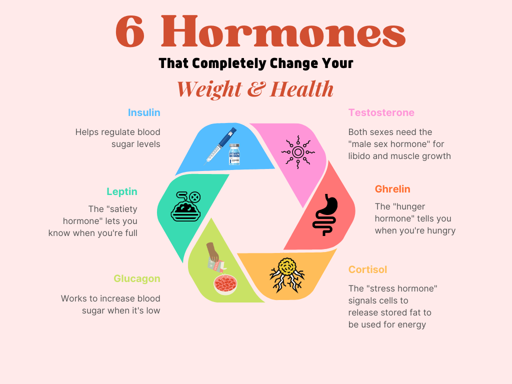 Get Your Hormones Checked- Hormones that affect weight gain – Athletic Aha!