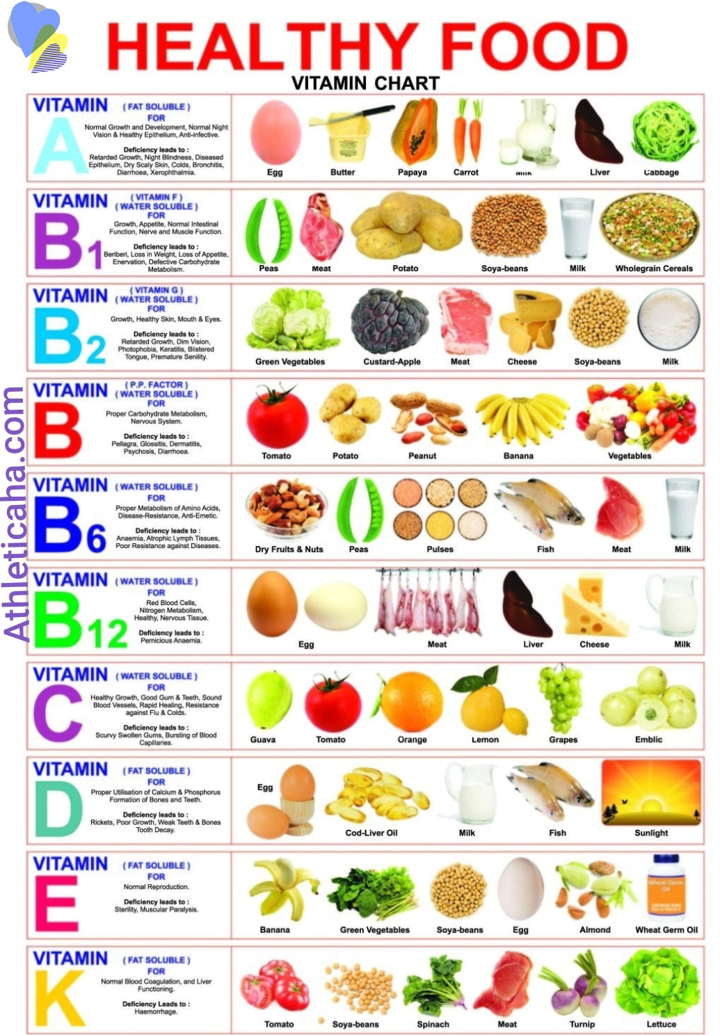 Food Source Vitamin Guide